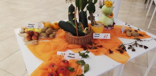 Obecná výstava ovocia a zeleniny