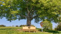 Svrčinovská lavička s výhľadom na našu dedinu