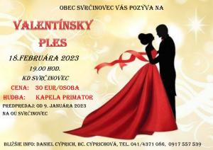 Valentínsky ples 1