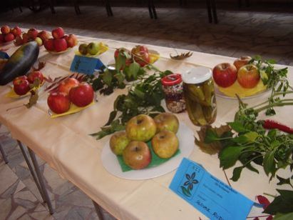 Výstava ovocia a&nbsp;zeleniny 2009&nbsp;- 1