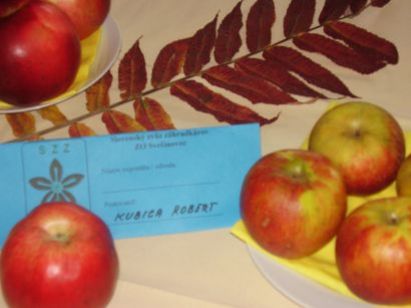 Výstava ovocia a&nbsp;zeleniny 2009&nbsp;- 3